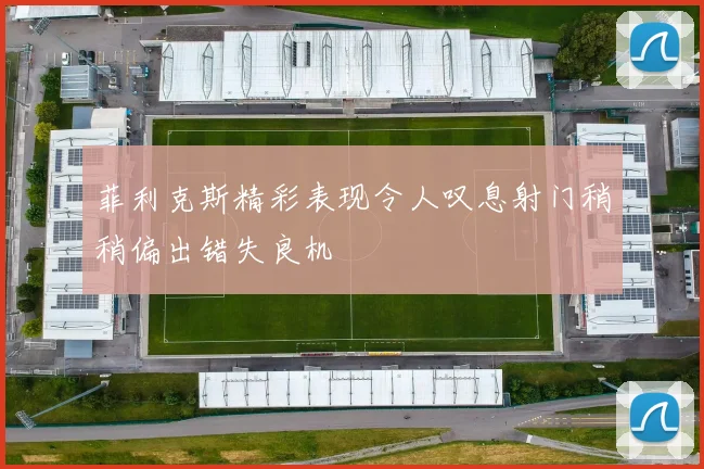 菲利克斯精彩表现令人叹息射门稍稍偏出错失良机