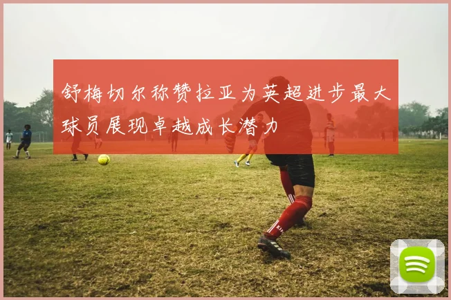 舒梅切尔称赞拉亚为英超进步最大球员展现卓越成长潜力